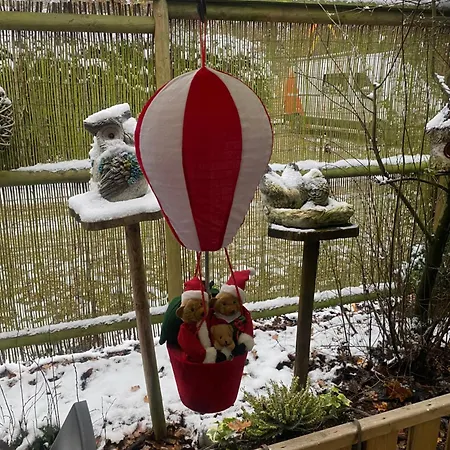 Sint-hubertus *